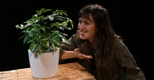 A teatro - L'ALBERO M'HA PARLATO di Barabba's Clowns - 6/16 anni - Immagine: 3