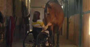 IL MIO AMICO TEMPESTA - Immagine: 2