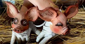 A scuola - 3 PIGS. COSA È CASA di Scarlattine Progetti - 3/11 anni - Immagine: 1