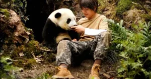 MOON - IL PANDA - Immagine: 3
